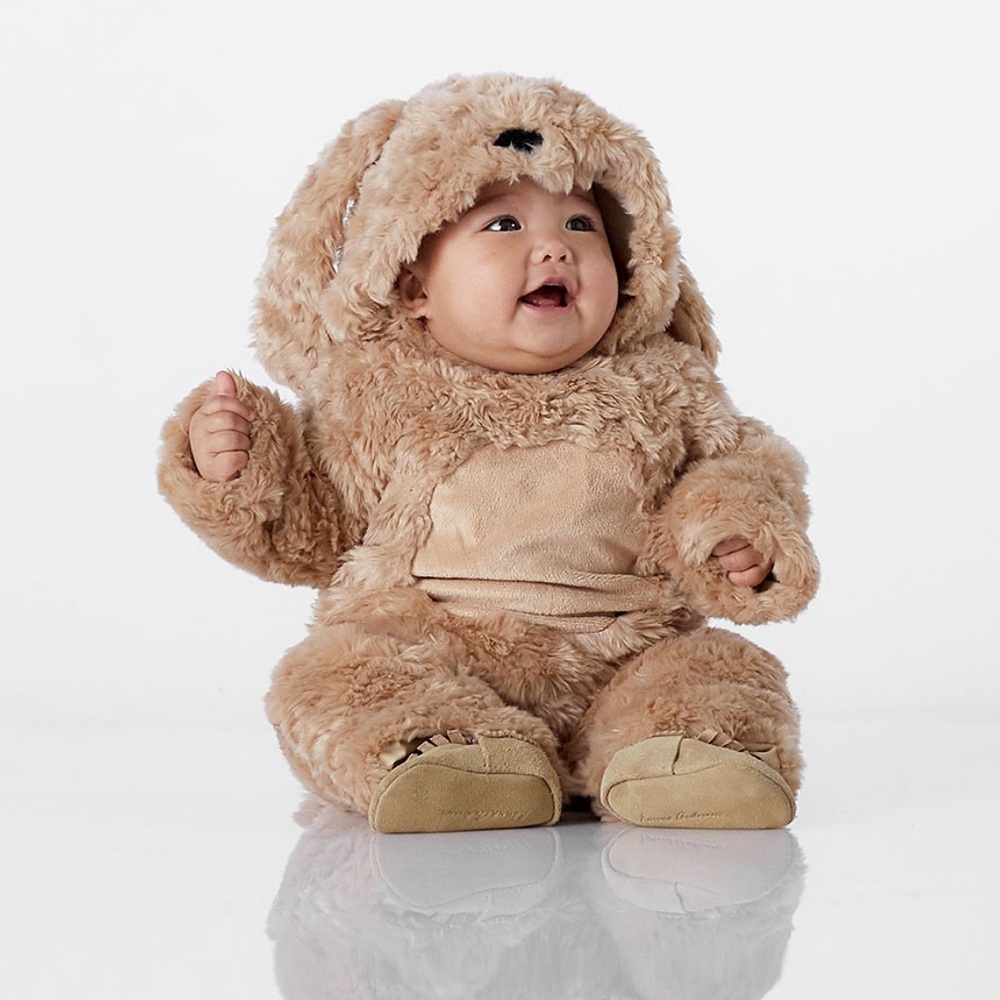 Pottery Barn Baby dog Halloween costume - NO TAGS